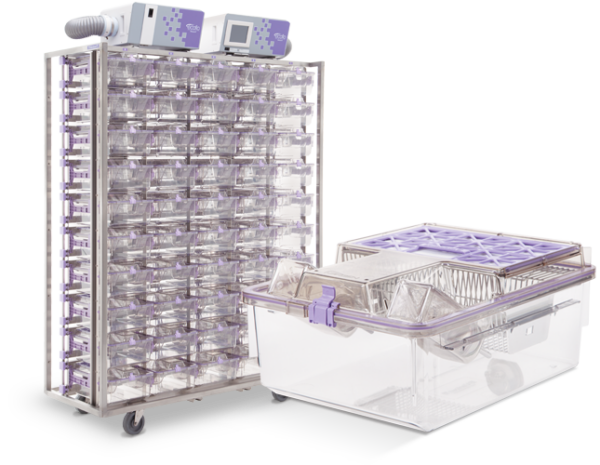 Nset Device Allentown NexGen™ Mouse 900™ - Bio Services